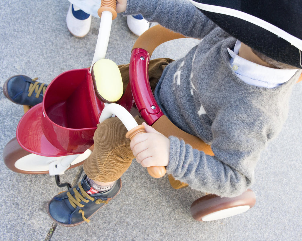 Evolutive Driewieler – Van Baby tot Peuter